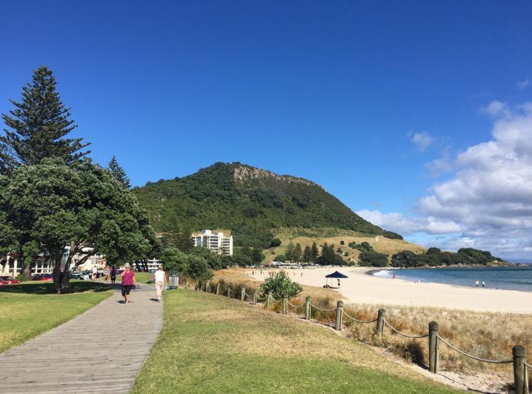 Victoria Road B&B Mount Maunganui Extérieur photo